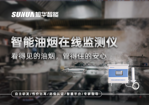 智能油烟在线监测仪：看得见的油烟，管得住的安心